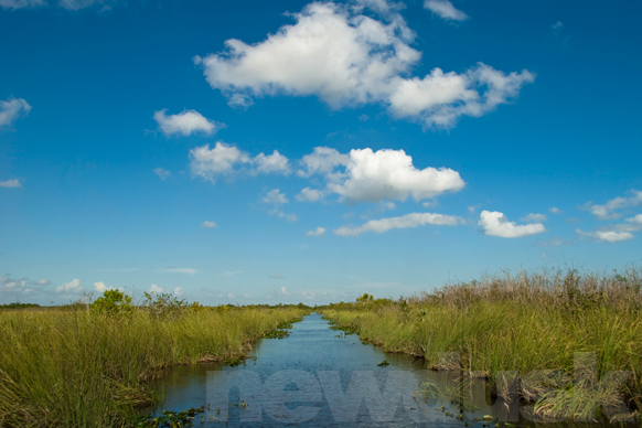 everglades